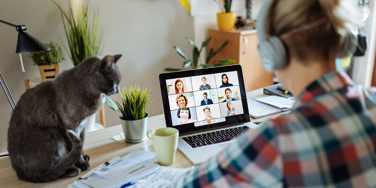 Homeoffice-Sitaution: Laptop mit verschiedenen Bildausschnitten, Frau mit Headset und Katze